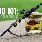 Read more about the article CBD 101:  What Are Terpenes?