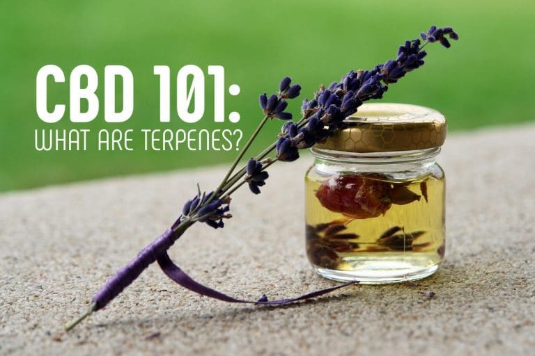 Read more about the article CBD 101:  What Are Terpenes?