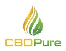 full spectrum cbd, hemp mlm companies, cbd multi level marketing, hempworx mlm, is hempworx a mlm, cbd hemp mlm, cbd mlm, hempworx lab, green horizen mlm, cbd oil mlm company, hempworx coa, hempworx multi level marketing, green mlm companies, hempworx company reviews, hempworx mlm review, is hempworx good quality, my daily choice hempworx reviews, cbd mlm companies, green horizen cbd, hemp mlm, green horizen reviews, best cbd mlm companies, hempworx quality, zilis scam, green horizen cbd reviews, green horizen, green horizen cbd oil reviews, hempworx network marketing, ctfo vs hempworx, cbd pure coupon, cbd pure coupon code, cbdpure, cbdpure affiliate, cbdpure com reviews, cbdpure coupon, cbdpure dietary supplement, cbdpure dosage, cbdpure hemp cbd, cbdpure hemp oil, cbdpure hemp oil 100, cbdpure hemp oil cbd, cbdpure oil, cbdpure review, cbdpure reviews, cbdpure softgel, cbdpure softgel capsules, cbdpure softgel review, cbdpure softgels, cbdpure softgels 750, 