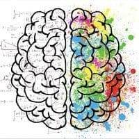 ADHD Brain wiring, CBD for memory and focus