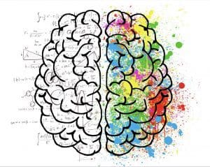 CBD for memory and focus, cbd oil for memory and focus,
cbd oil for focus and concentration,
cbd for focus,
cbd for memory,
cbd oil and memory,
cbd oil for focus,
cbd focus,
cbd for focus and concentration,
cbd to help focus,
cbc oil near me,
cbd memory,
cbd for mental focus,
how to improve memory and focus naturally,
cbd help with focus,
what cbd oil is best for adhd,
cbdandadhd,
will cbd oil help with adhd,
cbd to help with focus,
best cbd for focus,
best cbd oil for focus and concentration,
best cbd oil for focus,
does cbd help add,
help with focus and memory,
terpenes for focus,
cbd helps with focus,
cbd to focus,
cbd help focus,
best cbd for adhd,
does cbd oil help adhd,
hemp cbd for focus,
does cbd help with memory,
cbd and memory,
hemp oil for adhd child,
does cbd oil help add,
cbd oil focus,
does cbd oil help with add,
nuleaf naturals lab results,