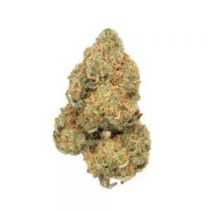 NYC Diesel
