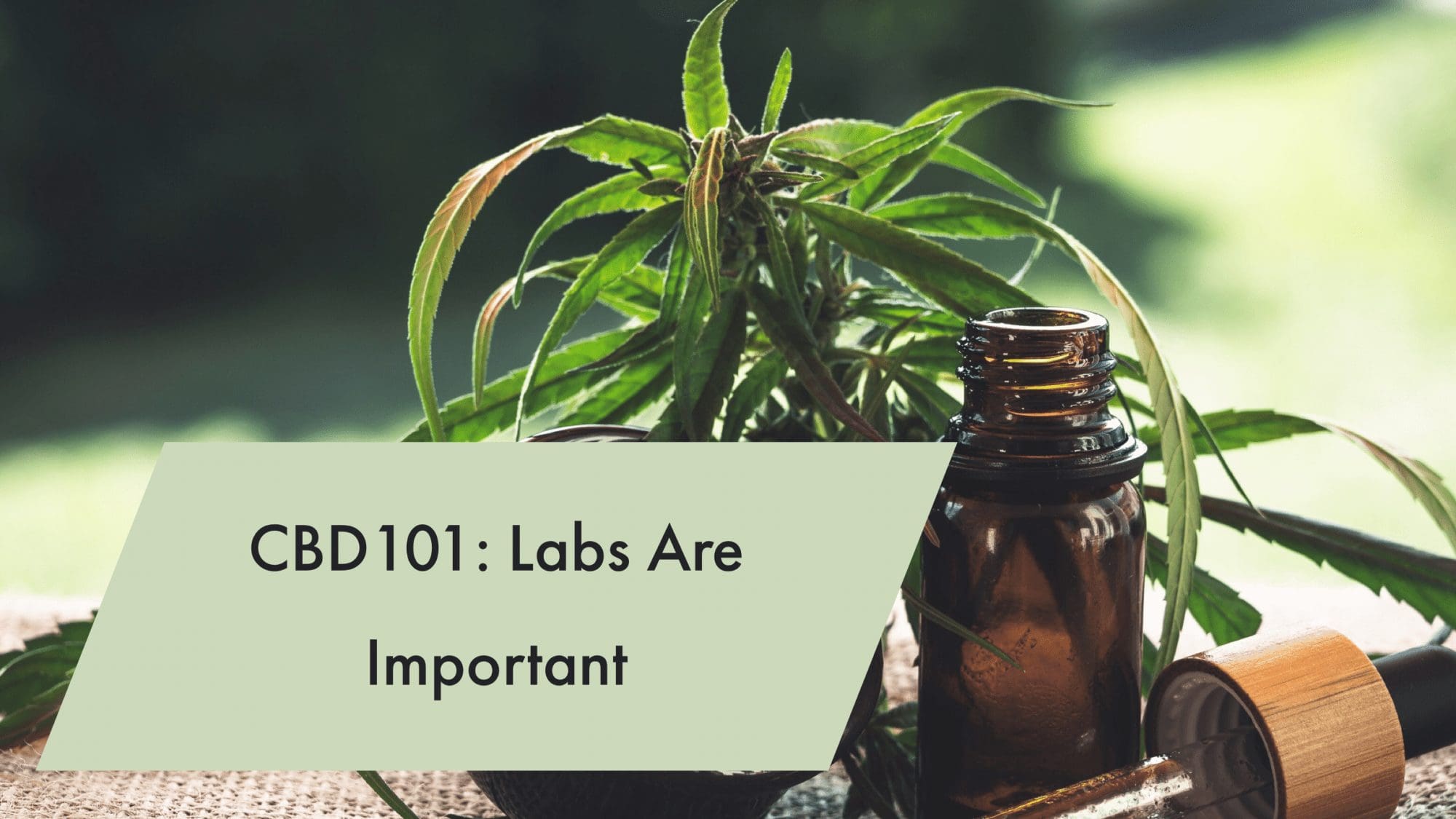 cbd labs are important
