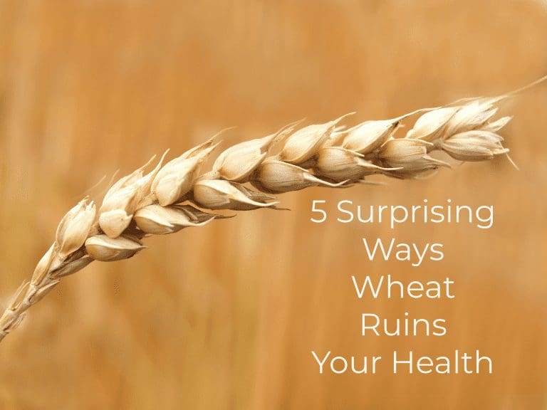 gluten and adhd, Adhd-naturally, adhdnaturally, adhd naturally, Wheat and health, wheat and gut health, wheat and health problems